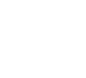 satisfaction g