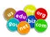 register your domain name